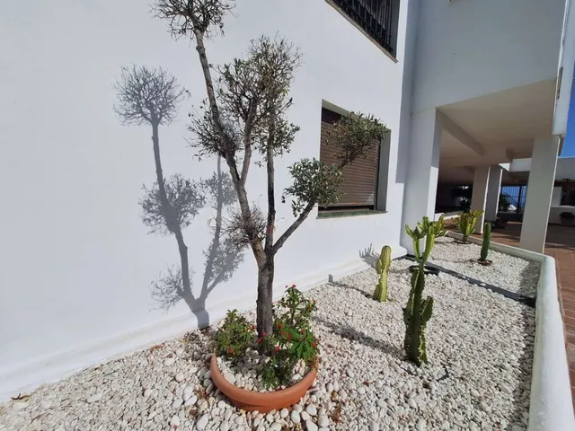 Apartamento en Alquiler en San Roque Cádiz — 23