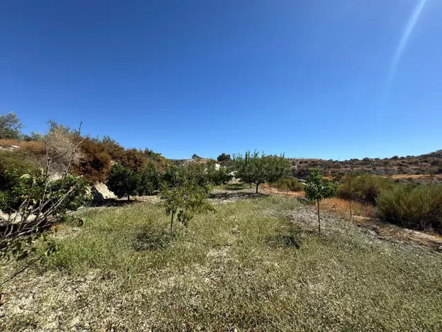 ¡Descubre tu oasis agrícola en plena naturaleza! - foto 4