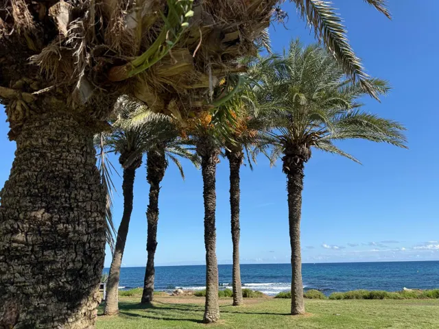 Apartamento 2 habitaciones 50m² en venta - Eliseos playa — 17