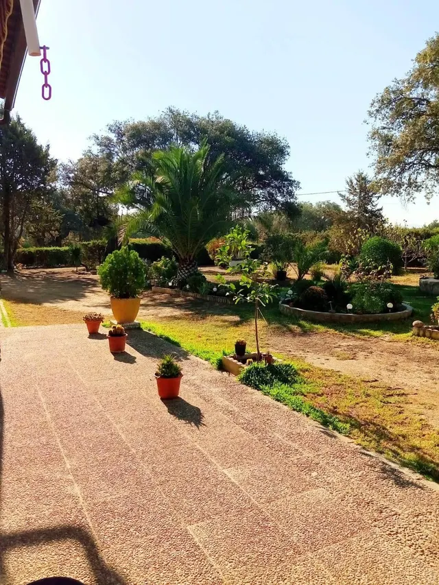 Chalet con Piscina en el Monte del Casar de Cáceres - Oportunidad única — 42