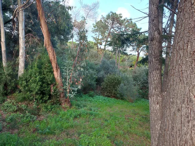 Se vende finca con doze apartamentos a 80 metros de la playa - foto 4