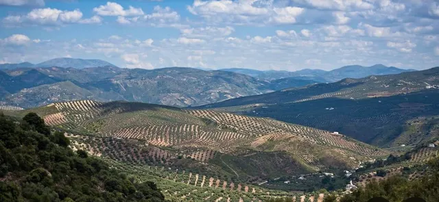 Parcela en venta - Andalucia — 13