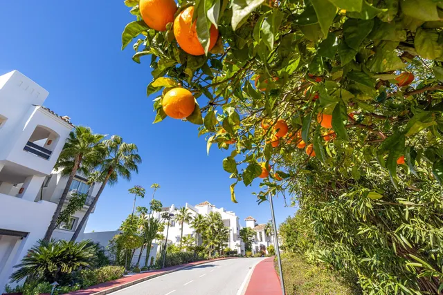 Ático Dúplex 3 habitaciones 180m² en venta - Costa del Sol — 50