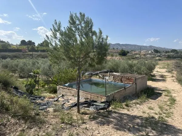 Parcela de terreno Rural cercana al casco urbano — 4