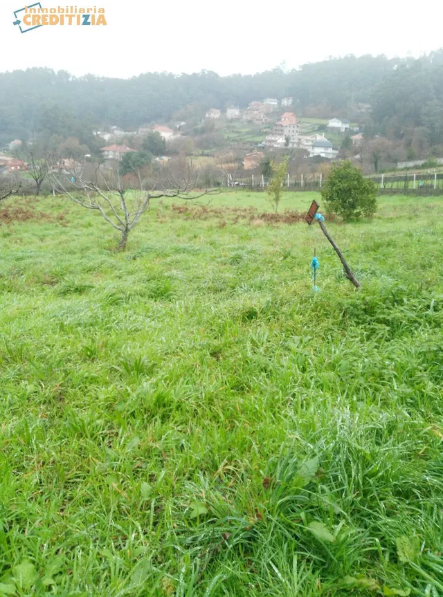 TERRENO RUSTICO EN BEMBRIVE - foto 2