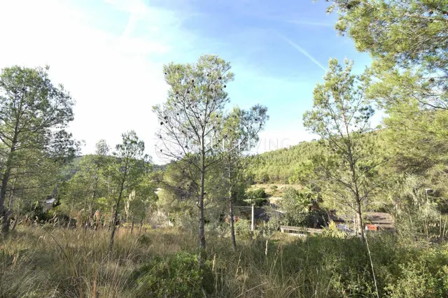 TERRENO CON BUENA ORIENTACIÓN Y VISTAS EN MAS MESTRE — 5