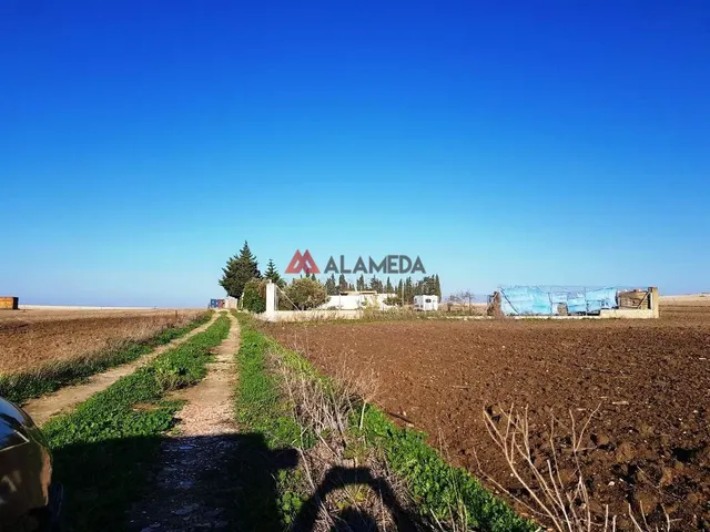 PARCELA SEGREGADA MIRALAMAR — 12