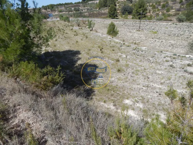 TERRENO EN PRODUCCIÓN CON PEQUEÑA CONSTRUCCIÓN EN PALOMAR(VALENCIA) — 6