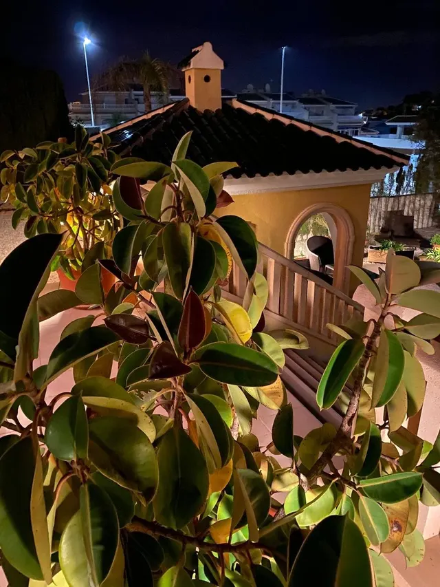 Villa de lujo — 49