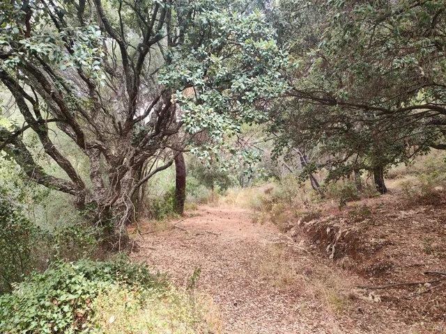 Parcela en venta - Istan pueblo
