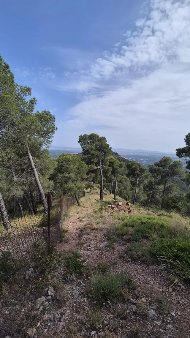 Terreny en venda a Sant Feliu del Racó – Entorn natural i vistes excepcionals — 9