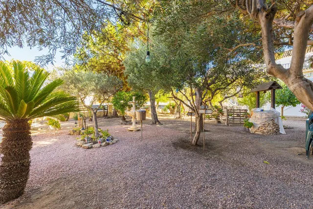 Planta baja de tres dormitorios con gran patio a 150 metros de la playa de La Mata — 24
