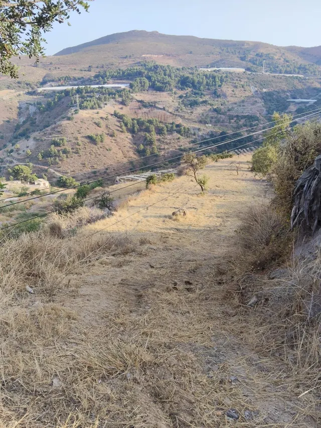 Finca rústica de 1.704 m2 con acceso directo y vistas panorá - foto 5
