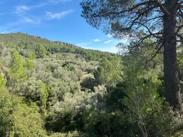 Espectacular finca rústica de 9,7 hectáreas con vivienda, piscina y vistas al Parque Natural dels Ports — 34