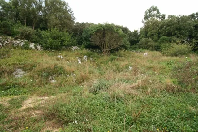TERRENO URBANO/RUSTICO EN CONCHA - RUILOBA — 2