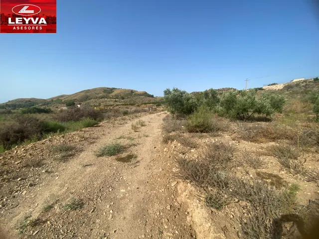 SE VENDE TERRENO RURAL DE 15000 M2 EN RAMBLA DE LOS MORENOS  - foto 4