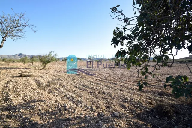 TERRENO en venta - foto 4