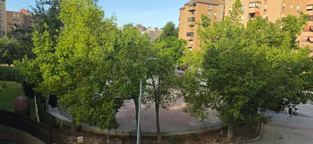 Piso en venta en Benalúa – Una vivienda con muchas posibilidades — 6