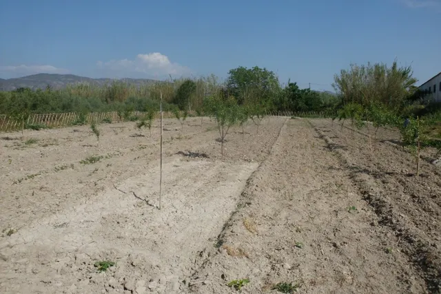 Terreno en Camí La Font - Ontinyent — 4