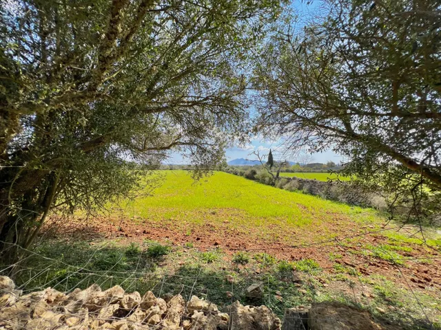 Finca rústica de 14.884 m2 entre Porreres y Felanitx con esp - foto 2