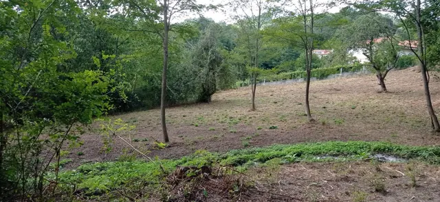TERRENO URBANO EN VENTA EN PONTEULLA DE 3241 METROS - foto 5