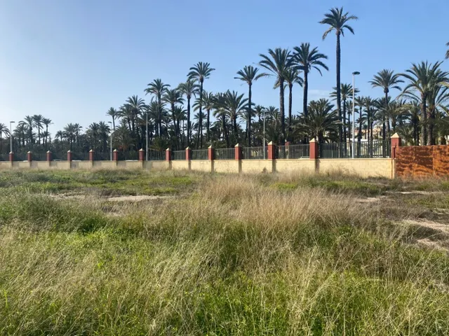 Exclusiva Parcela de 250 metros en La Torreta, Elche - foto 2
