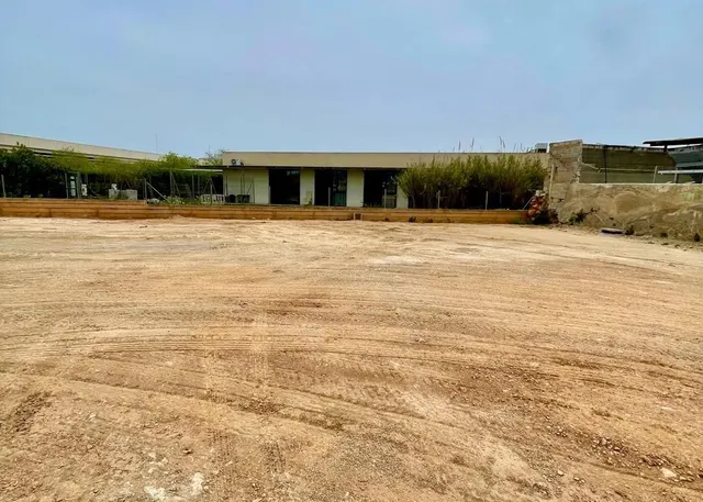 Parcela en Venta en Exclusiva en Pla de na Tesa – Marratxí — 11