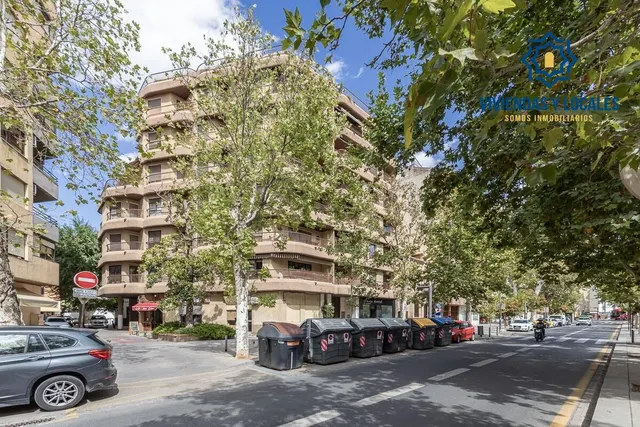 Pisazo en paseo del salón - Granada — 44