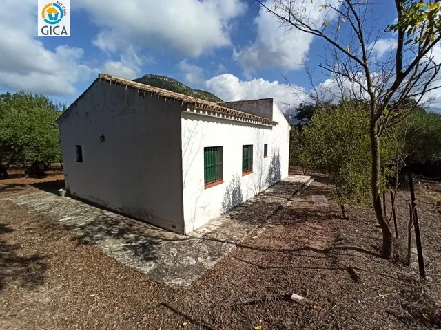 CASA CON PARCELA  EN LA SIERRA DE CADIZ -EL BOSQUE — 16