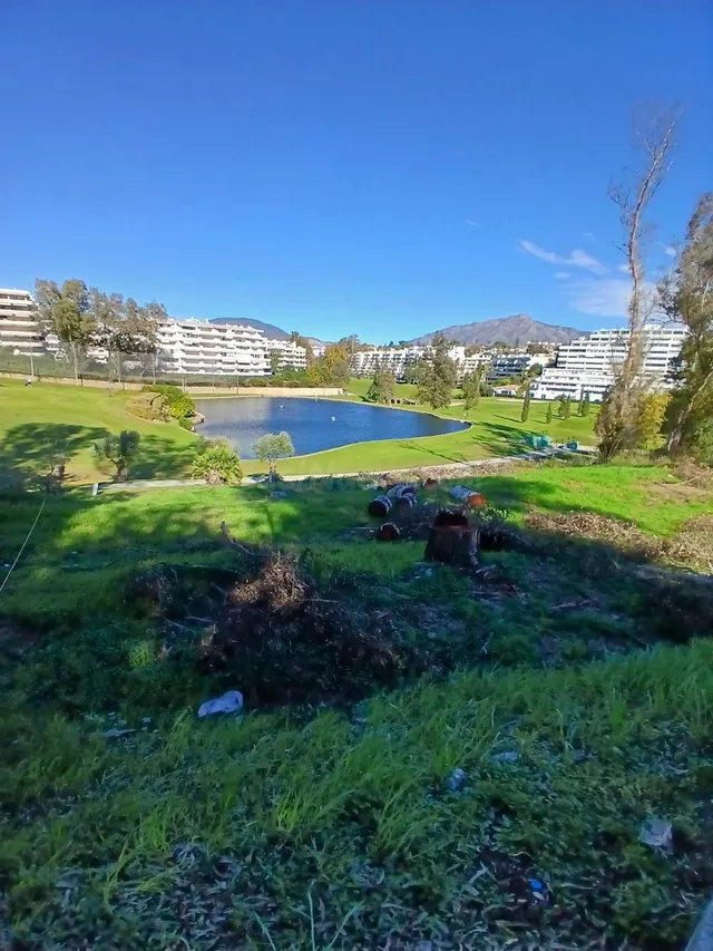 Terreno edificable con licencia en Guadalmina Marbella — 3