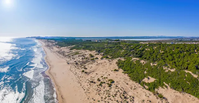 SE VENDE VILLA INDEPENDIENTE EN GUARDAMAR DEL SEGURA, 3 habitaciones Y 3 ASEOS — 29