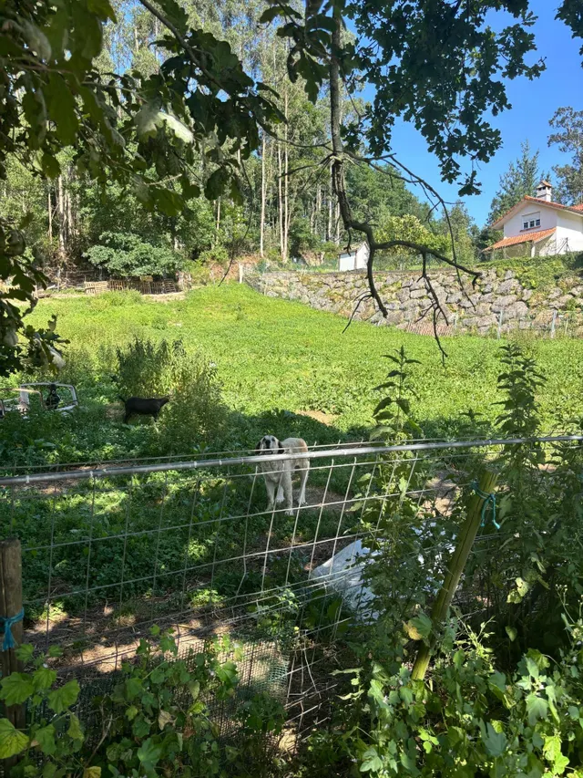 Terreno urbano 112m² en venta - Northern spain - foto 4