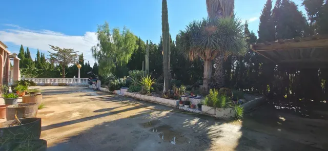 Se vende bonito chalet en partida altabix a 5 minutos de Elche — 4
