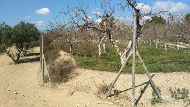 Casa de campo con 4.070m2 de terreno y 88 m2 de vivienda — 7