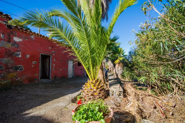 ESPECTACULARES CASITAS CON 1034 M2 DE TERRENO - foto 5