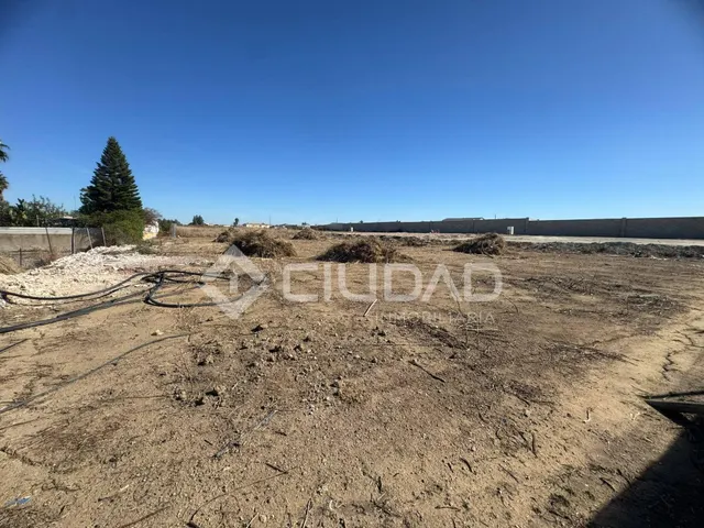 Terreno rústico 950m2 en La Dehesilla - Las Palmeras — 6