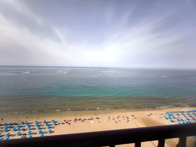 ESTUDIO REFORMADO EN PRIMERA LINEA DE BENIDORM - foto 4