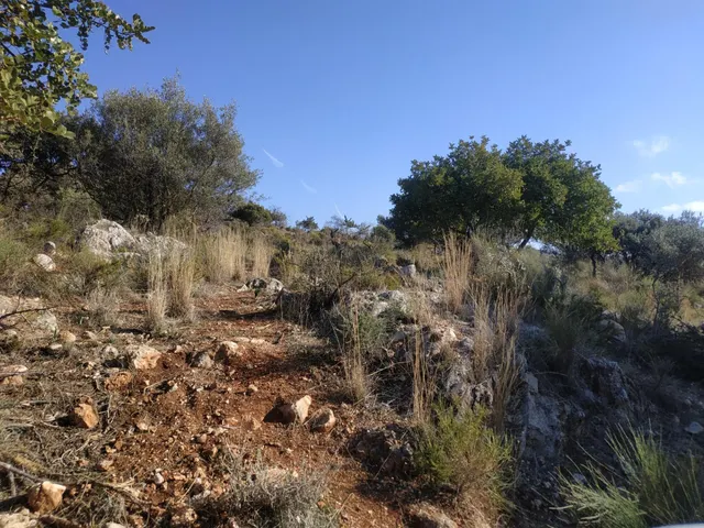 Terrenos urbano en Periana — 3