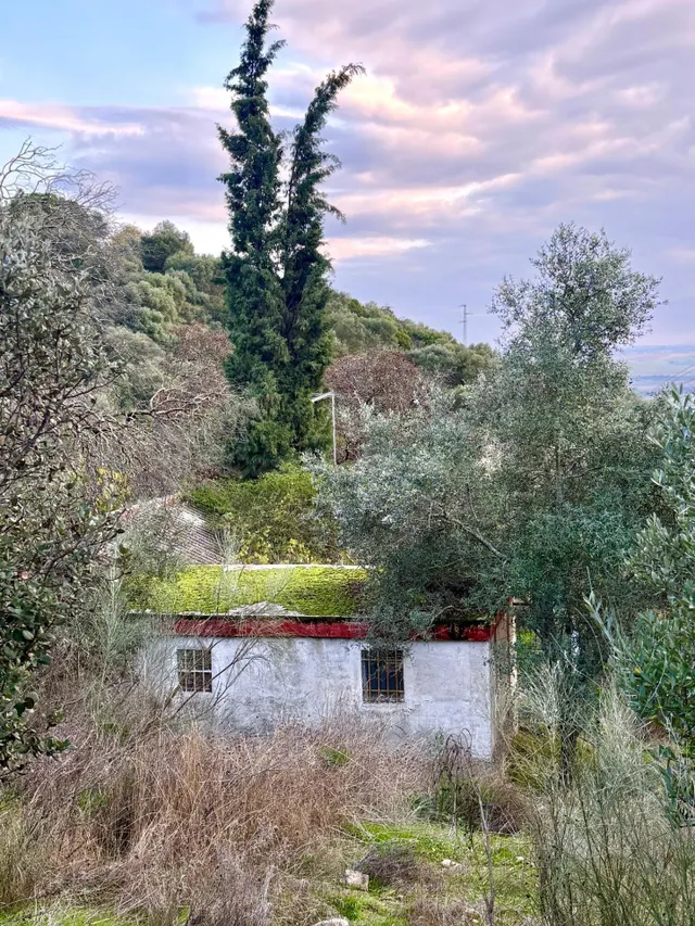 Parcela con edificación, Almodóvar del Río - Oportunidad Úni - foto 2