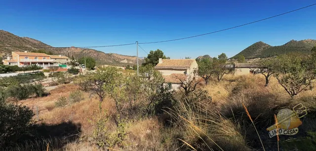 Auténtica casa para renovar en Ricote — 8