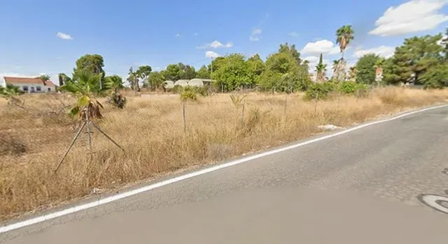 TERRENO VALLADO 1.500 m2 EN CABEZO DE TORRES – JUNTO A LA CO - foto 3