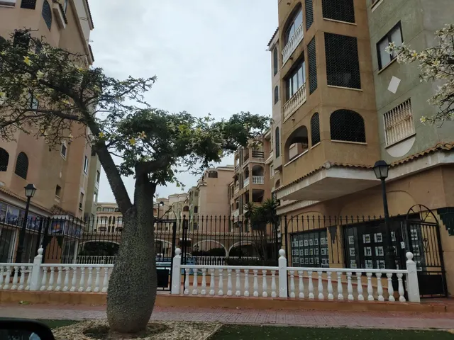 Ático con vistas al Parque en Torrevieja — 30