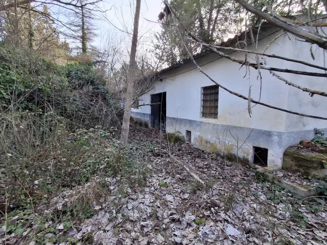 FINCA CON VIVIENDA PARA ALQUILER - foto 2