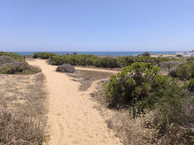 La Mata, apartamento 2 dormitorios y piscina — 35