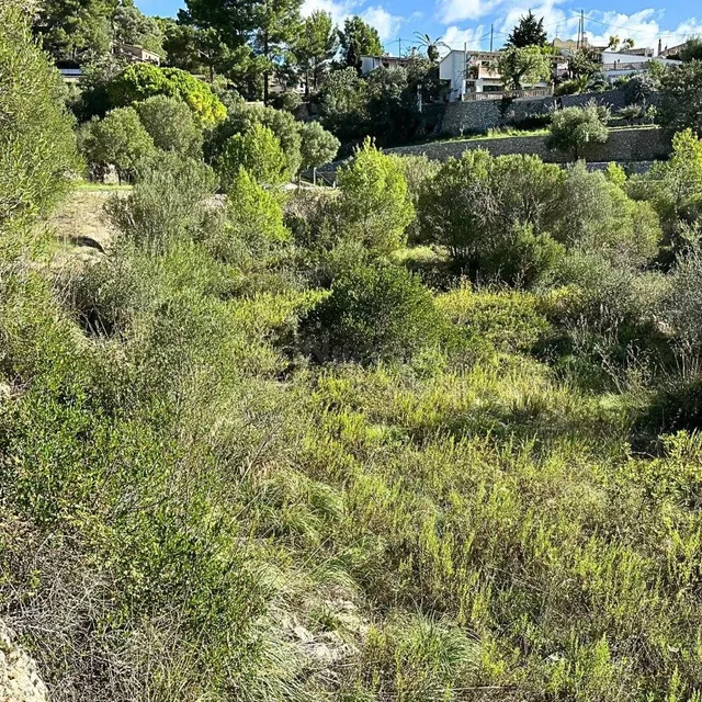 Terreno en Galilea en venta — 2