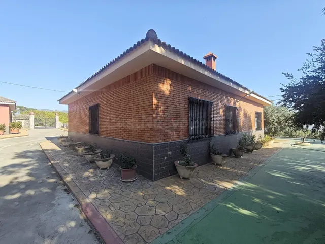 Campo en Sax 14.000 m2 parcela y casa con piscina — 36