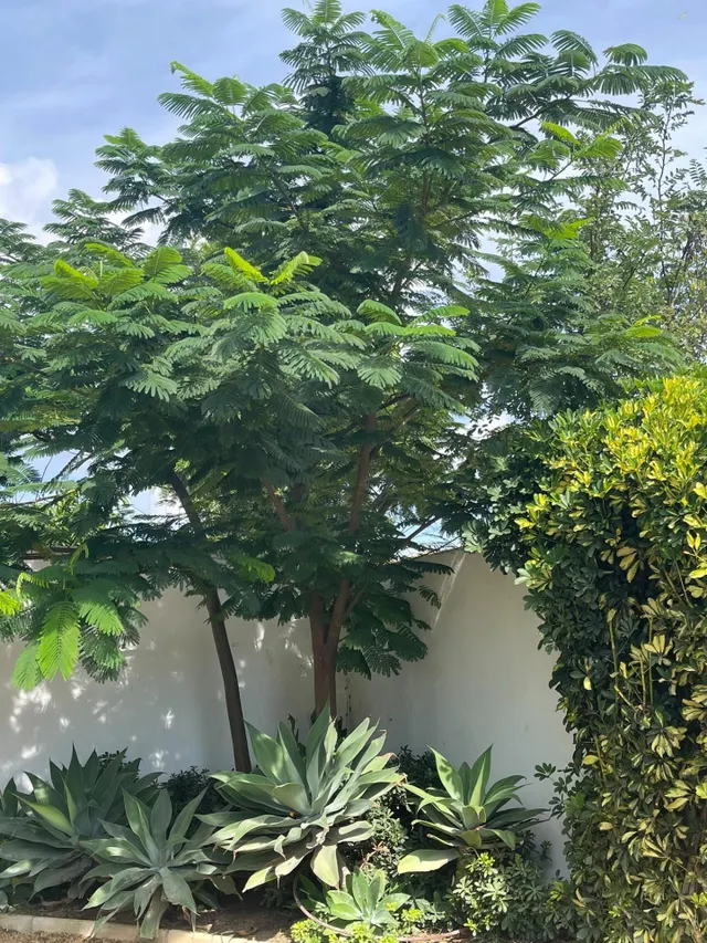 Exclusivo chalet con piscina, amplios jardines y excelentes prestaciones — 6