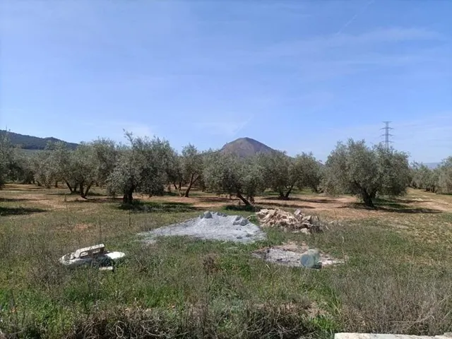 Finca rústica en venta — 21