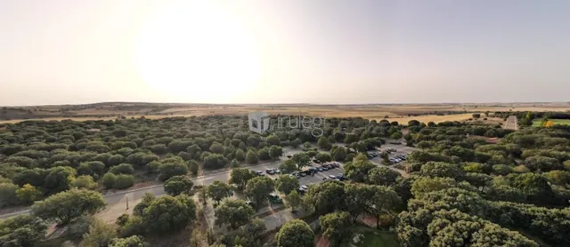 PERCELA EN VENTA EN LERMA, BURGOS - foto 4