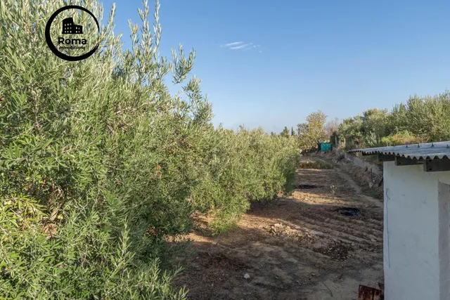 Casa con terreno 3 habitaciones 100m² en venta - Híjar — 43